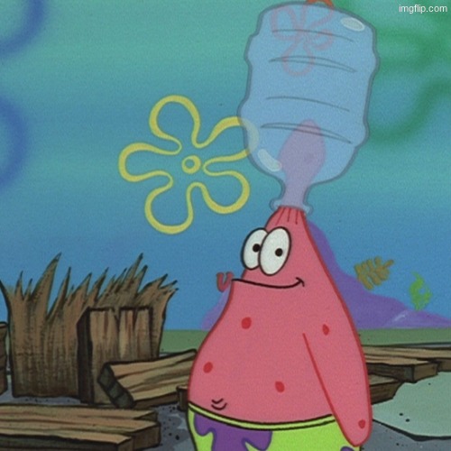 Patrick head stuck in bottle dumb | image tagged in patrick head stuck in bottle dumb | made w/ Imgflip meme maker