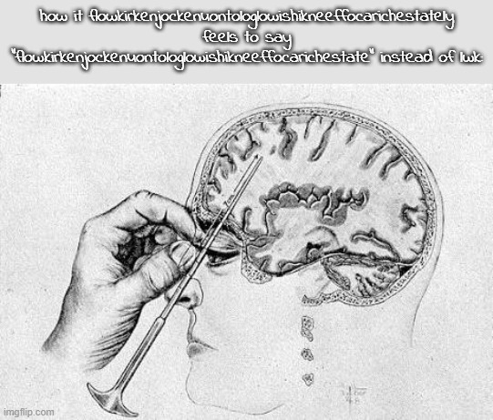 what AM i doing, nothing goes through my head does it | how it flowkirkenjockenuontologlowishikneeffocarichestately feels to say "flowkirkenjockenuontologlowishikneeffocarichestate" instead of lwk: | image tagged in lobotomy | made w/ Imgflip meme maker