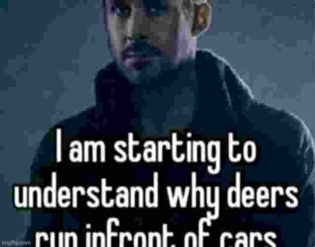 ​ | made w/ Imgflip meme maker