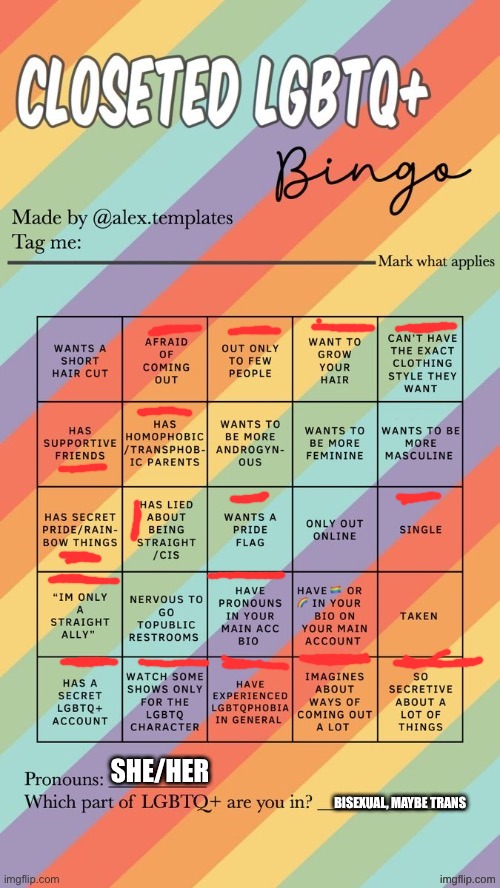 Closeted LGBTQ+ Bingo | SHE/HER; BISEXUAL, MAYBE TRANS | image tagged in closeted lgbtq bingo | made w/ Imgflip meme maker