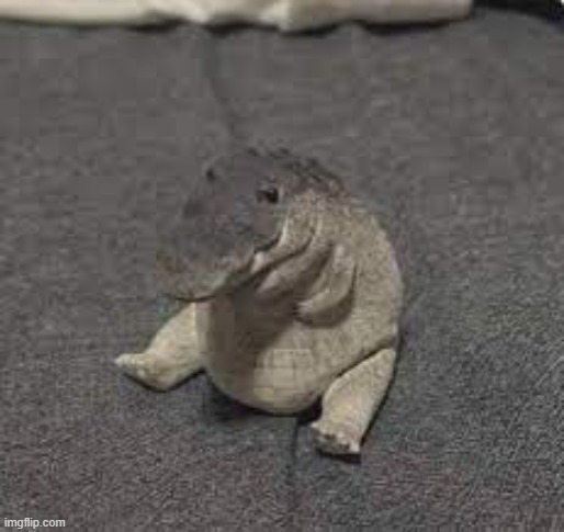 Greg | image tagged in greg | made w/ Imgflip meme maker