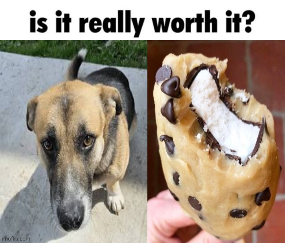 That dog/Chocolate chip cookie dough ice cream lookalike similarity | image tagged in is it really worth it,dog,ice cream,memes,dogs,dessert | made w/ Imgflip meme maker