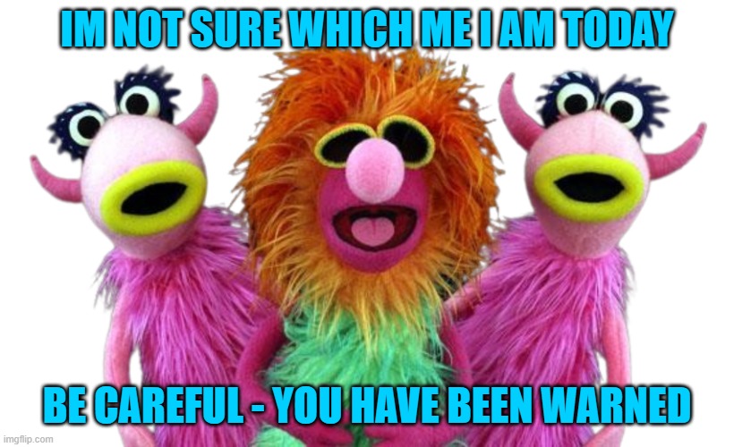 Mahna Muppets Transparent background | IM NOT SURE WHICH ME I AM TODAY; BE CAREFUL - YOU HAVE BEEN WARNED | image tagged in mahna muppets transparent background | made w/ Imgflip meme maker