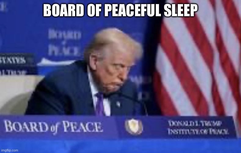 Zzzzzz | BOARD OF PEACEFUL SLEEP | image tagged in trump board of peace -ful sleep,memes | made w/ Imgflip meme maker