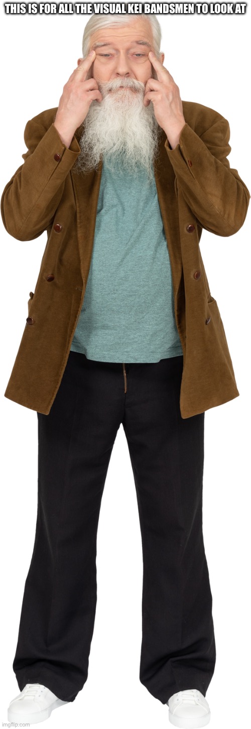 Old Man Pun | THIS IS FOR ALL THE VISUAL KEI BANDSMEN TO LOOK AT | image tagged in visual kei,jokes,japan,jpop | made w/ Imgflip meme maker