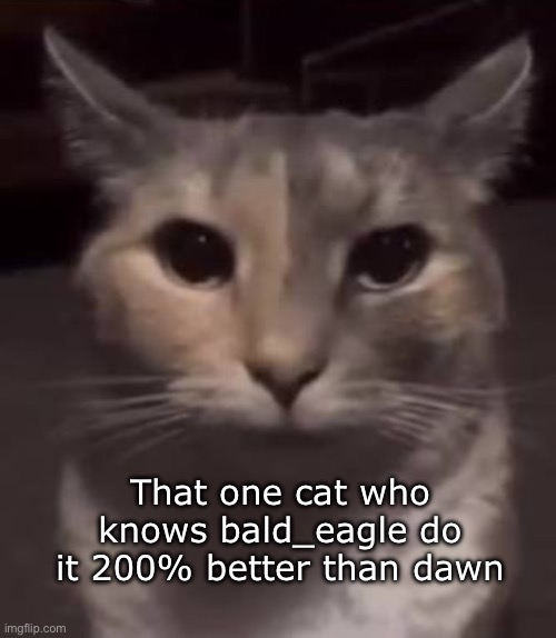 It’s just better | That one cat who knows bald_eagle do it 200% better than dawn | image tagged in memes,cats,lol,edgy | made w/ Imgflip meme maker