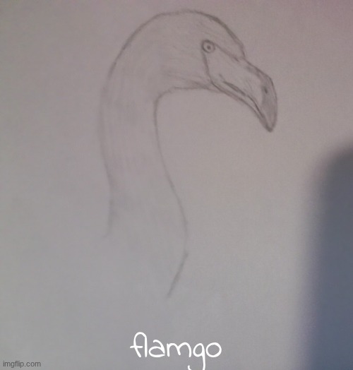 camera quality ass | flamgo | made w/ Imgflip meme maker