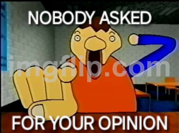 NOBODY ASKED FOR YOUR OPINION | image tagged in nobody asked for your opinion | made w/ Imgflip meme maker