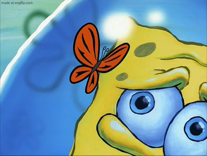Spongebob butterfly | image tagged in spongebob butterfly | made w/ Imgflip meme maker