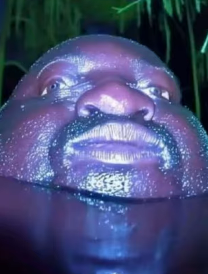 unflushed poo Blank Meme Template