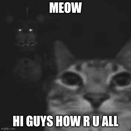 Didn't feel like using my temp cuz I low-key moody like that | MEOW; HI GUYS HOW R U ALL | image tagged in he s behind me isn t he | made w/ Imgflip meme maker