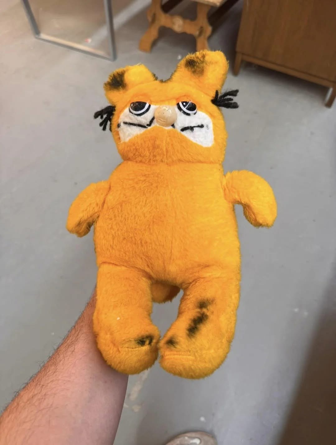 Thrift Store Garfield Blank Meme Template