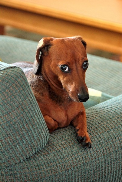 Chrisjoines1 Blank Meme Template