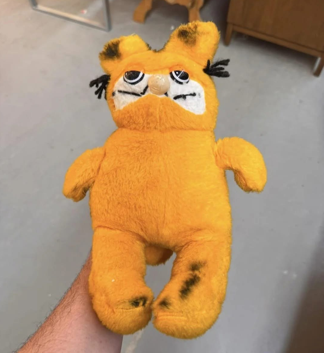 Thrift store garfield Blank Meme Template