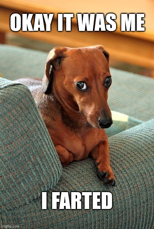 Okay It Was Me I Farted | OKAY IT WAS ME; I FARTED | image tagged in chrisjoines1 | made w/ Imgflip meme maker