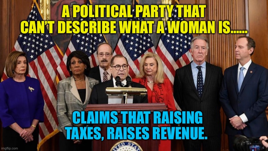 Wealth Taxes have negative impact on revenue. | A POLITICAL PARTY THAT CAN’T DESCRIBE WHAT A WOMAN IS……; CLAIMS THAT RAISING TAXES, RAISES REVENUE. | image tagged in house democrats,democratic socialism,democrats,liberal logic | made w/ Imgflip meme maker