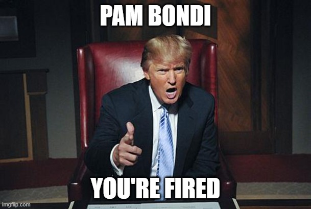 Donald Trump You're Fired | PAM BONDI; YOU'RE FIRED | image tagged in donald trump you're fired,doj,republican,rino,deep state | made w/ Imgflip meme maker