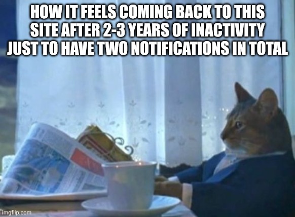 Ts so sad | HOW IT FEELS COMING BACK TO THIS SITE AFTER 2-3 YEARS OF INACTIVITY JUST TO HAVE TWO NOTIFICATIONS IN TOTAL | image tagged in memes,i should buy a boat cat | made w/ Imgflip meme maker