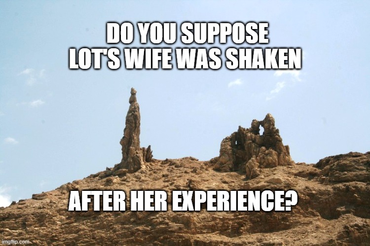 Lot's Wife | DO YOU SUPPOSE LOT'S WIFE WAS SHAKEN; AFTER HER EXPERIENCE? | image tagged in lot's wife | made w/ Imgflip meme maker