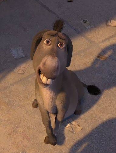 Donkey eyes Blank Meme Template