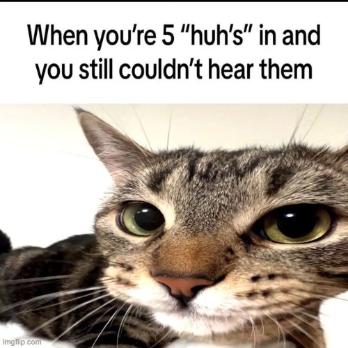 shitpost | image tagged in rmk | made w/ Imgflip meme maker