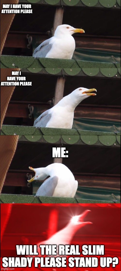 Inhaling Seagull Meme | MAY I HAVE YOUR ATTENTION PLEASE; MAY I HAVE YOUR ATTENTION PLEASE; ME:; WILL THE REAL SLIM SHADY PLEASE STAND UP? | image tagged in memes,inhaling seagull,eminem | made w/ Imgflip meme maker