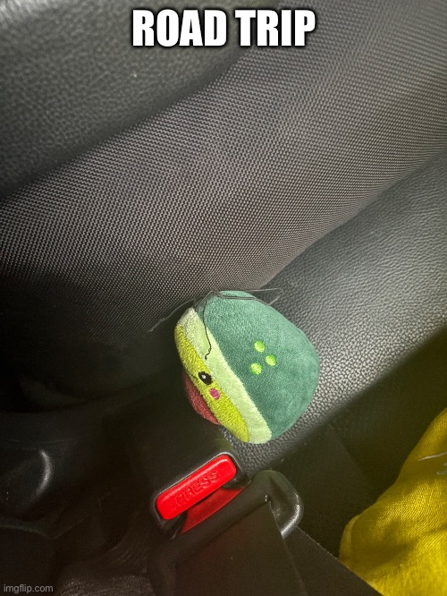 shiny on road trip | ROAD TRIP | image tagged in roadtrip,avocado | made w/ Imgflip meme maker