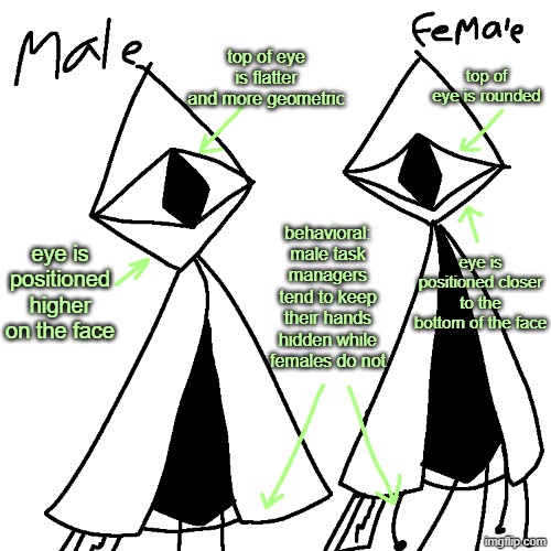 top of eye is flatter and more geometric; top of eye is rounded; behavioral: male task managers tend to keep their hands hidden while females do not; eye is positioned higher on the face; eye is positioned closer to the bottom of the face | made w/ Imgflip meme maker