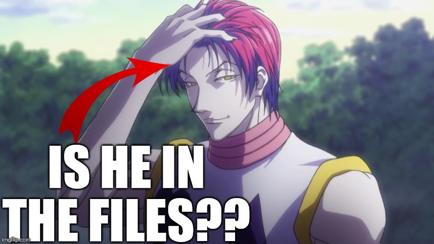 Hisoka | IS HE IN THE FILES?? | image tagged in hisoka | made w/ Imgflip meme maker