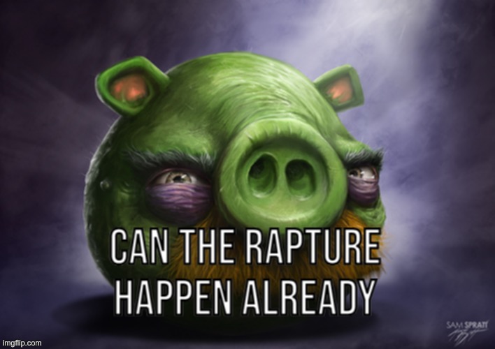 Can the rapture happen already | image tagged in can the rapture happen already | made w/ Imgflip meme maker