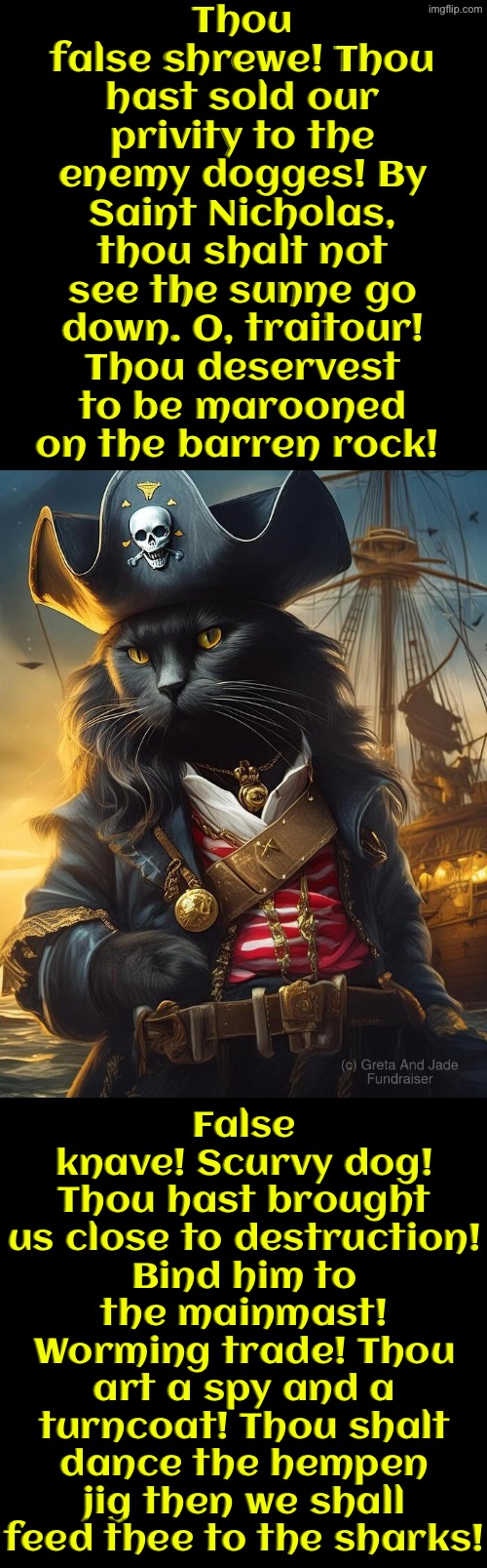 Then We Shall Feed Thee To The Sharks | Thou false shrewe! Thou hast sold our privity to the enemy dogges! By Saint Nicholas, thou shalt not see the sunne go down. O, traitour! Thou deservest to be marooned on the barren rock! False knave! Scurvy dog! Thou hast brought us close to destruction! Bind him to the mainmast! Worming trade! Thou art a spy and a turncoat! Thou shalt dance the hempen jig then we shall feed thee to the sharks! | image tagged in cats,medieval memes,pirates,insults,traitor,funny cats | made w/ Imgflip meme maker