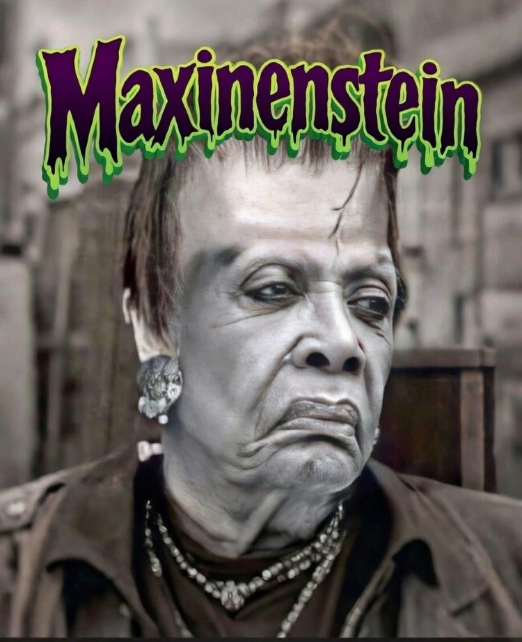 High Quality Maxinenstein Blank Meme Template