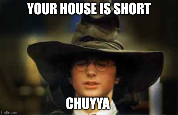 Harry Potter sorting hat | YOUR HOUSE IS SHORT; CHUYYA | image tagged in harry potter sorting hat | made w/ Imgflip meme maker
