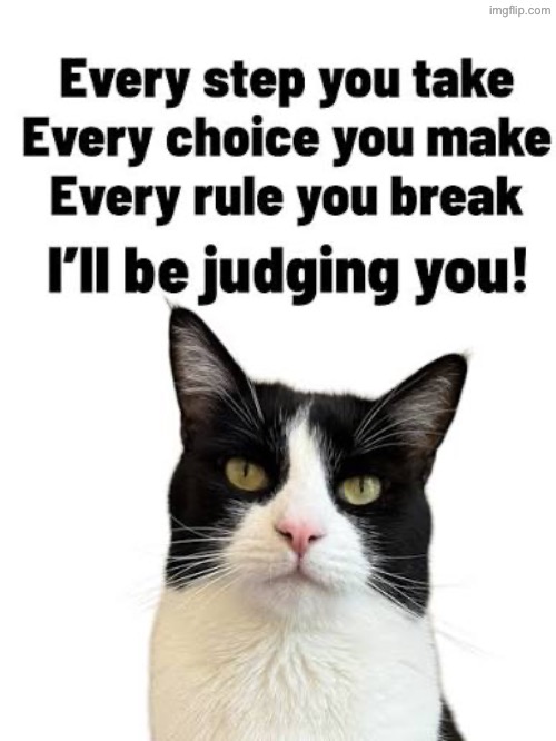 I’ll Be Judging You | image tagged in cats,funny cats,judgement,song lyrics,evil overlord rules,signature look of superiority | made w/ Imgflip meme maker