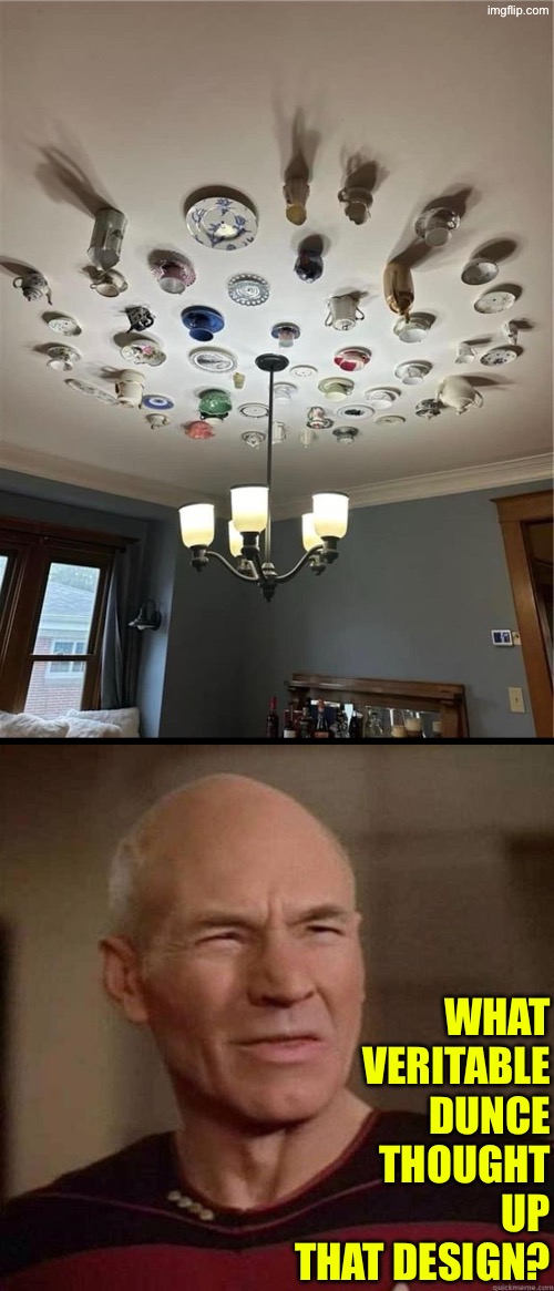 Veritable Dunce | WHAT VERITABLE DUNCE THOUGHT UP THAT DESIGN? | image tagged in what in the hot crispy kentucky fried frick,veritable dunce,design fails,excuse me wtf,picard wtf | made w/ Imgflip meme maker