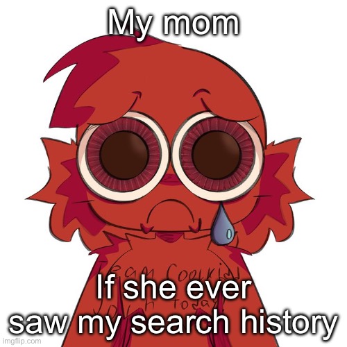 guys my search history is actually normal | My mom; If she ever saw my search history | image tagged in sad c00lkidd | made w/ Imgflip meme maker