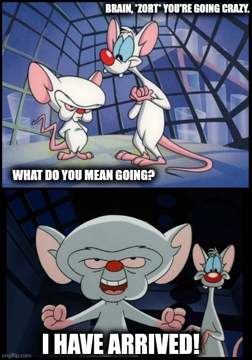 I've Arrived | BRAIN, *ZORT* YOU'RE GOING CRAZY. WHAT DO YOU MEAN GOING? I HAVE ARRIVED! | image tagged in pinky and the brain | made w/ Imgflip meme maker
