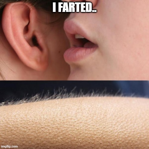 Whisper and Goosebumps | I FARTED.. | image tagged in whisper and goosebumps | made w/ Imgflip meme maker