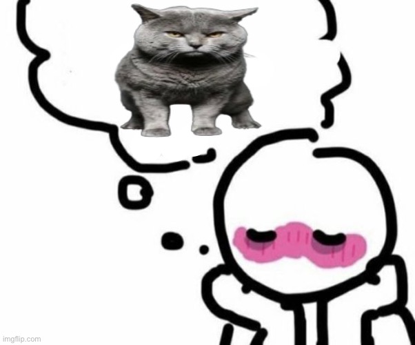 BLUSHY  BOIII | image tagged in blushy boiii | made w/ Imgflip meme maker