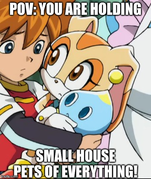 POV: you are holding house pets of everything! | POV: YOU ARE HOLDING; SMALL HOUSE PETS OF EVERYTHING! | image tagged in pets | made w/ Imgflip meme maker