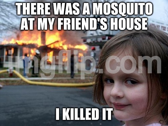Disaster Girl | THERE WAS A MOSQUITO AT MY FRIEND'S HOUSE; I KILLED IT | image tagged in memes,disaster girl | made w/ Imgflip meme maker