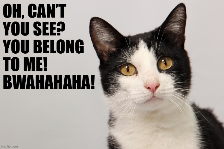 OH, CAN’T 
YOU SEE?
YOU BELONG 
TO ME!
BWAHAHAHA! | made w/ Imgflip meme maker