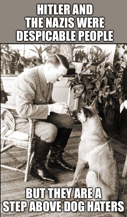A step above… | HITLER AND THE NAZIS WERE DESPICABLE PEOPLE; BUT THEY ARE A STEP ABOVE DOG HATERS | image tagged in despicable,dog haters,hitler,nazis | made w/ Imgflip meme maker