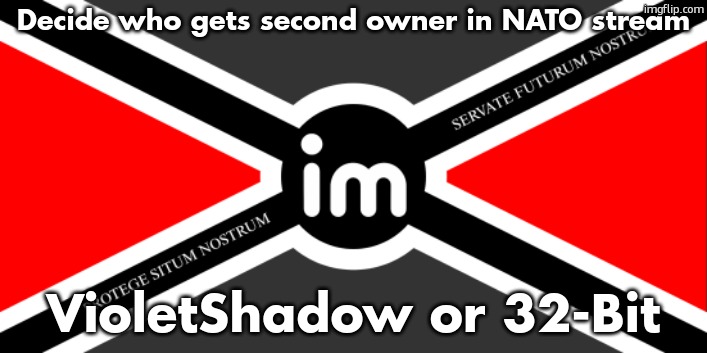 idk i picked sensible people | Decide who gets second owner in NATO stream; VioletShadow or 32-Bit | image tagged in nato flag by noublacksmith | made w/ Imgflip meme maker