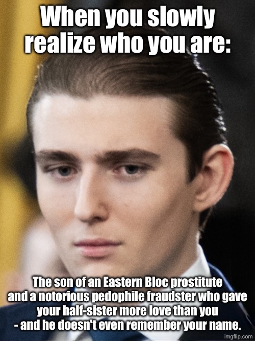 Self awareness | When you slowly
realize who you are:; The son of an Eastern Bloc prostitute and a notorious pedophile fraudster who gave
your half-sister more love than you
- and he doesn't even remember your name. | image tagged in trump,family business | made w/ Imgflip meme maker