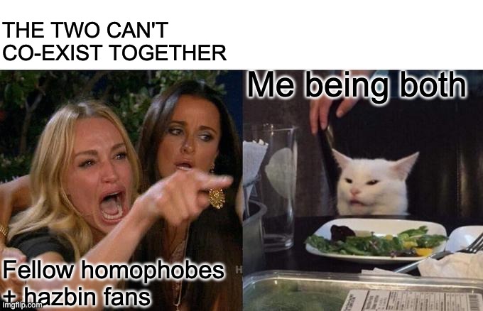 Woman Yelling At Cat | THE TWO CAN'T CO-EXIST TOGETHER; Me being both; Fellow homophobes + hazbin fans | image tagged in memes,woman yelling at cat | made w/ Imgflip meme maker