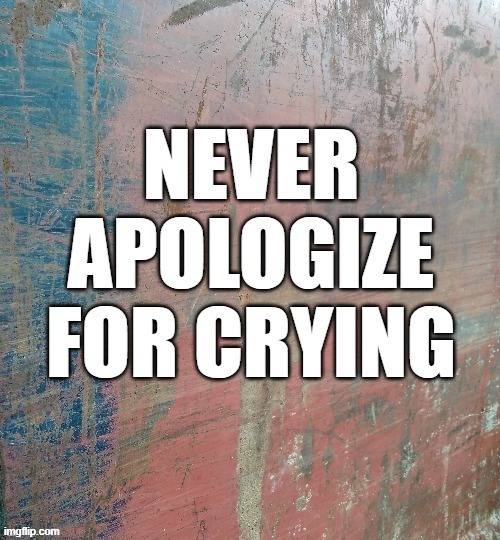 never apologize for crying | image tagged in apology | made w/ Imgflip meme maker