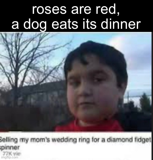 , | roses are red, a dog eats its dinner | image tagged in funny,memes,relatable,funny memes,fidget spinner | made w/ Imgflip meme maker