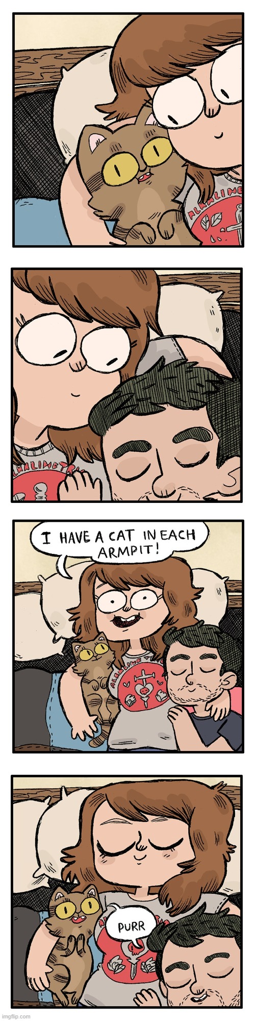 image tagged in cat,husband,arms,armpit,armpits,cats | made w/ Imgflip meme maker