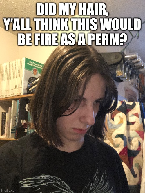DID MY HAIR, Y’ALL THINK THIS WOULD BE FIRE AS A PERM? | made w/ Imgflip meme maker